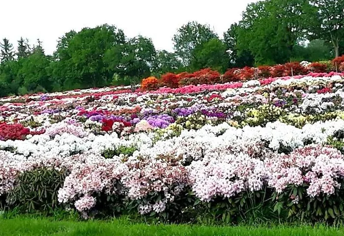 Haus Sonneneck 1 Apartamento *